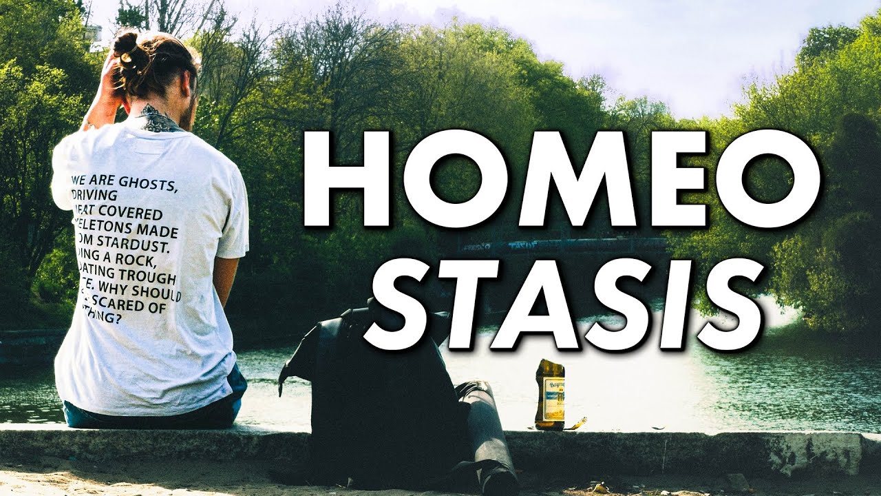 HOMEOSTASIS | Not Award-Winning Short Film