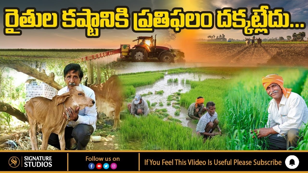Why Farmers are Not getting Adequate Reward..?| Rythu Nestham Nagaratnam Naidu | Agriculture Program