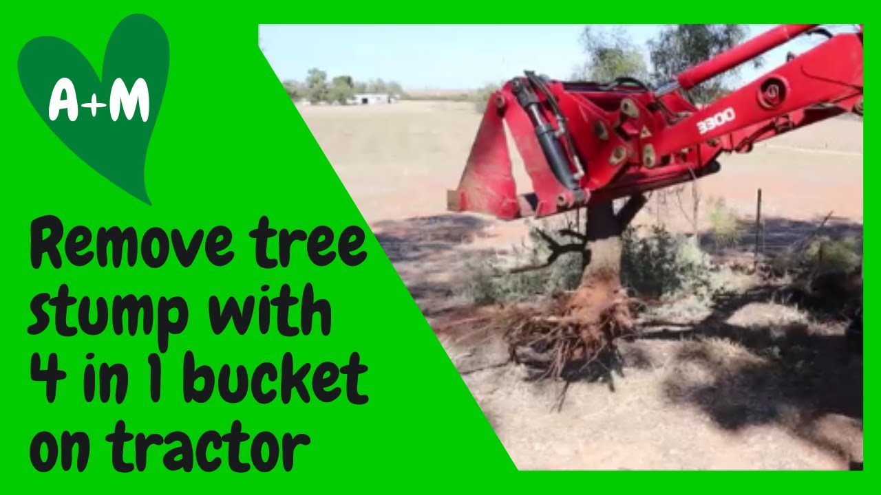 Remove a tree stump with 4 in 1 bucket on tractor frontend loader