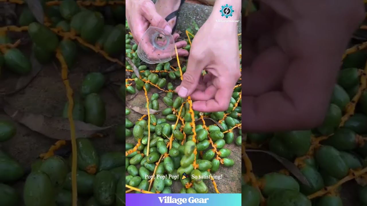 This Plastic Bottle Fruit Picker is Next Level SMART! 🤯 Life Hack Level 1000! #lifehack #diy