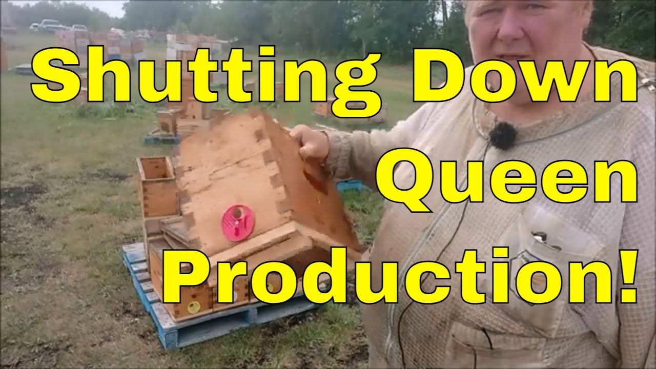 Moving the Mating Nucs Inside - That Bee Man