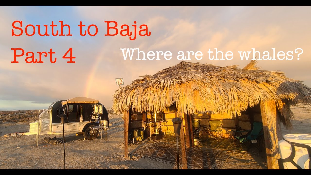 Laguna Ojo de Liebre Camping, Birdwatching, and Early Season Whale Watching? South to Baja Part 4