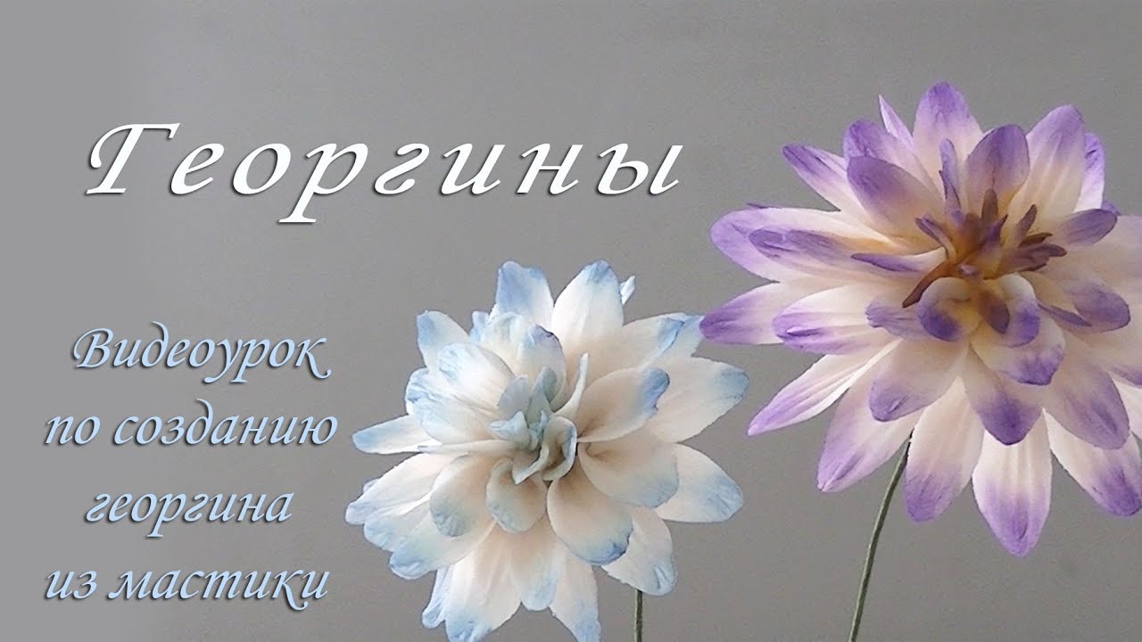 Георгин из мастики/Как сделать/Видео урок по созданию сахарного цветка