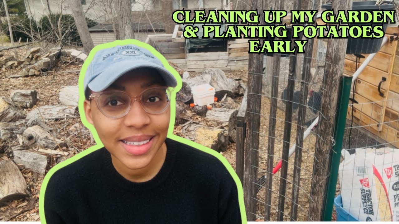 Defining in-ground garden beds and planting potatoes early—hopefully not too early! 😬