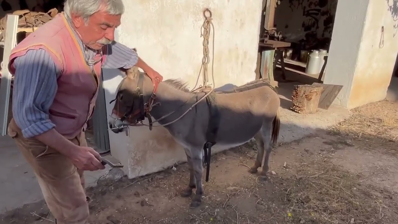 Mariolu e Malintragnia