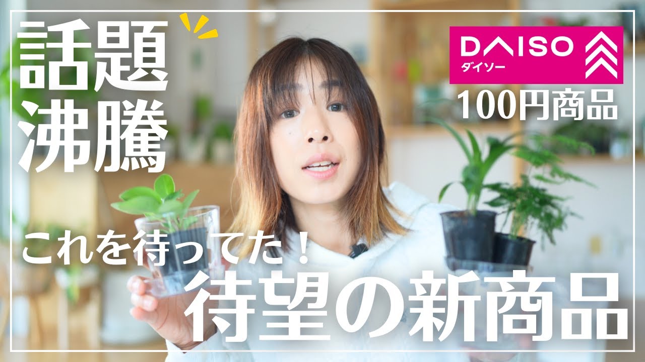 【これは事件です】ダイソー園芸用品が優秀過ぎる！2025年春保存版