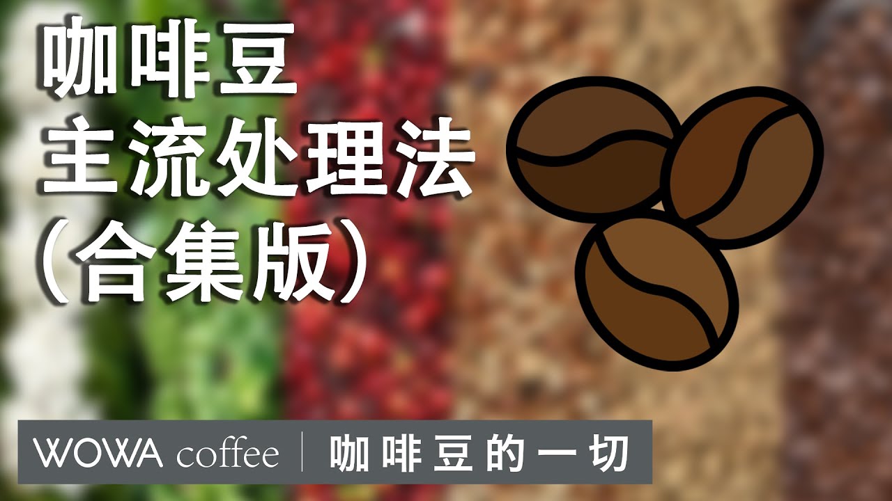 咖啡豆各种处理法&mdash;&mdash;合集版