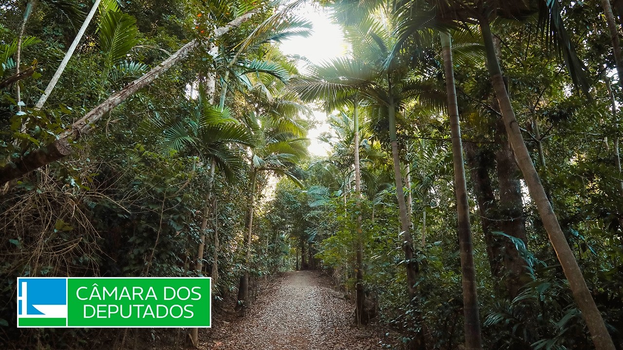 Amazônia e Povos Originários e Tradicionais - Discussão e votação de propostas - 17/03/2026