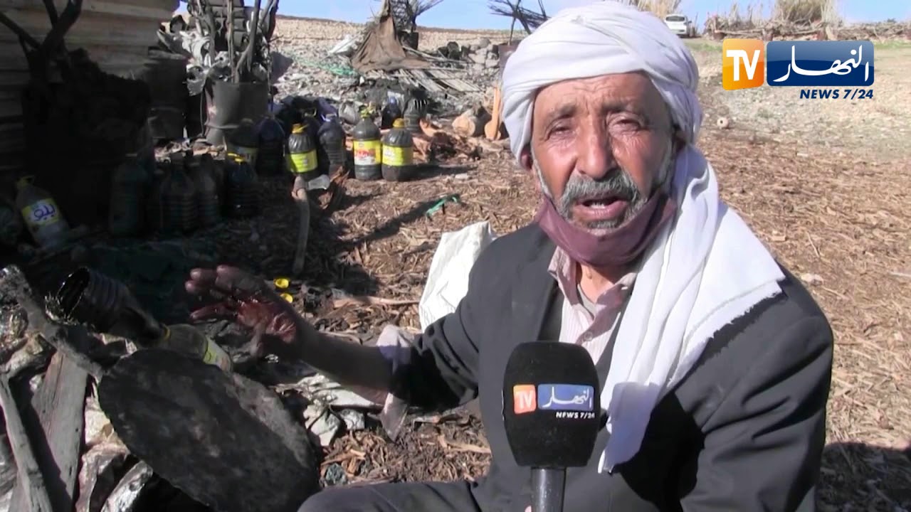 الجلفة: إستخلاص القطران من شجرة العرعار.. حرفة تصارع البقاء