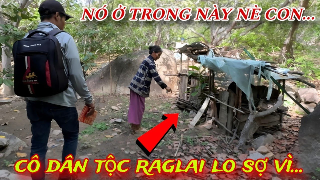Cô dân tộc RAGLAI 1 mình sống trên núi, HỐT HOẢNG vì LO SỢ Điều Này..../262