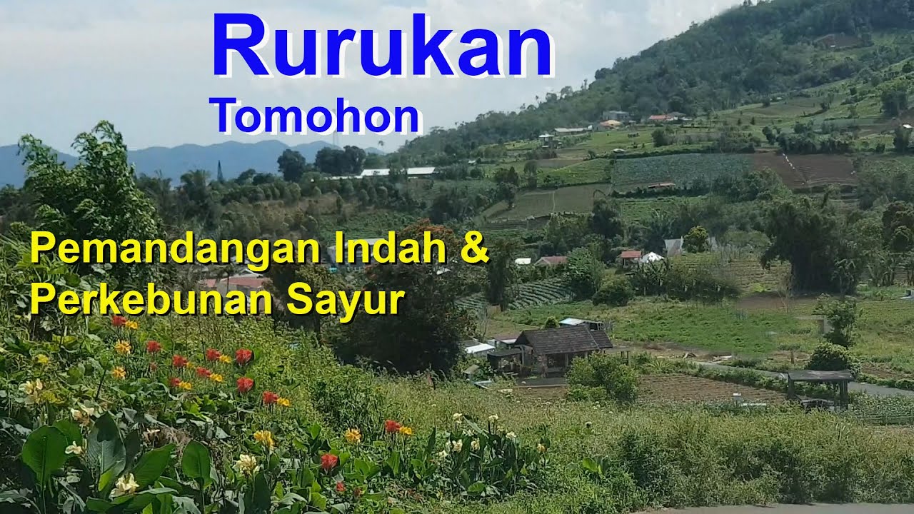 Rurukan dengan Pemandangan Indah dan Perkebunan Sayur, Kota Tomohon