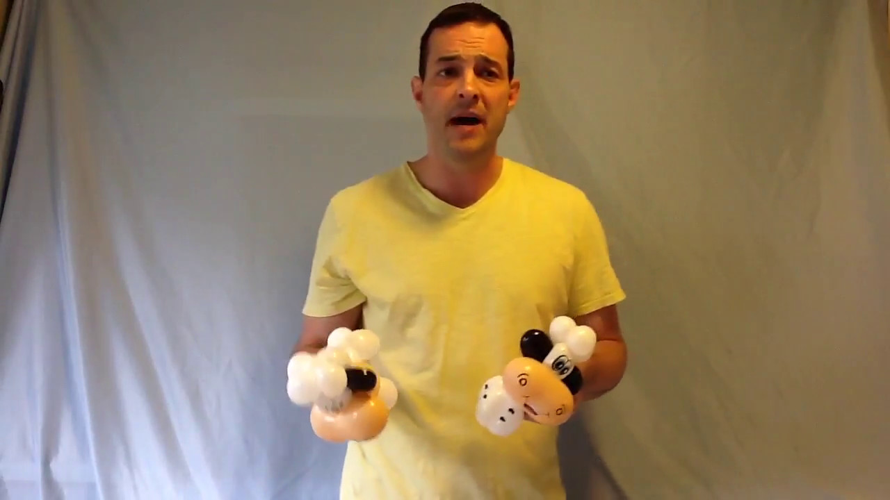 Cow step by step instructions and real time