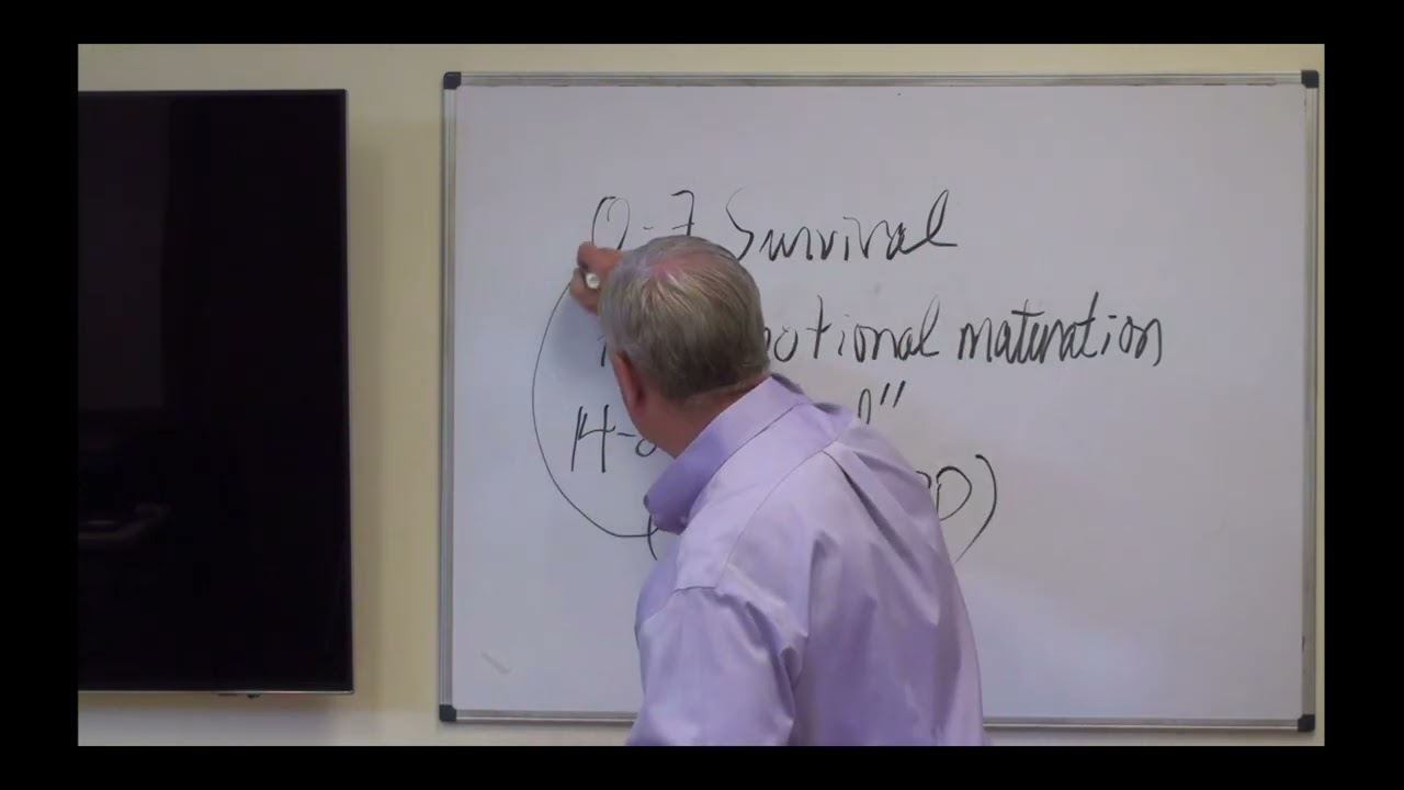 The JBOPPPP System