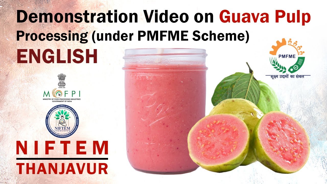 Demonstration Video on Guava Pulp Processing (under PMFME Scheme) - ENGLISH