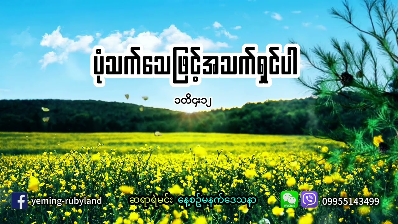 ယုံကြည်သူများရဲ့ပုံသက်သေ