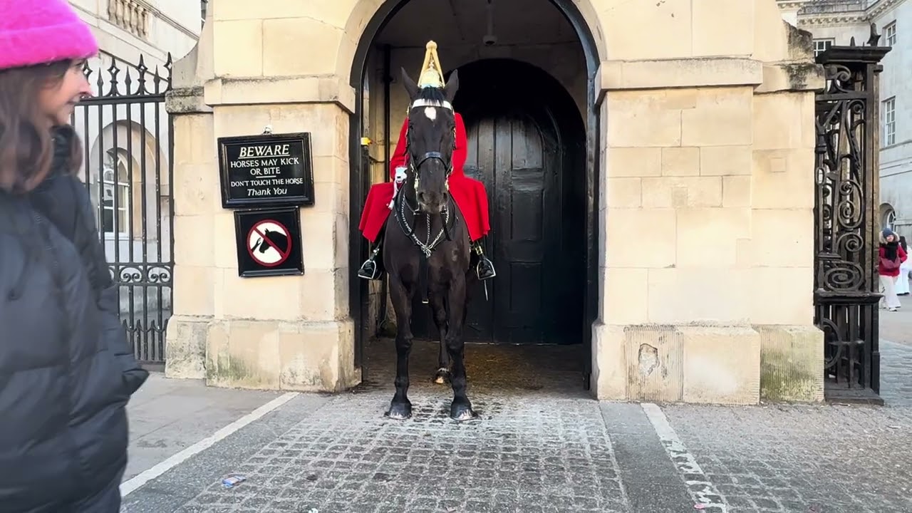 Royal King’s Life Guard at Whitehall #everyone #london 