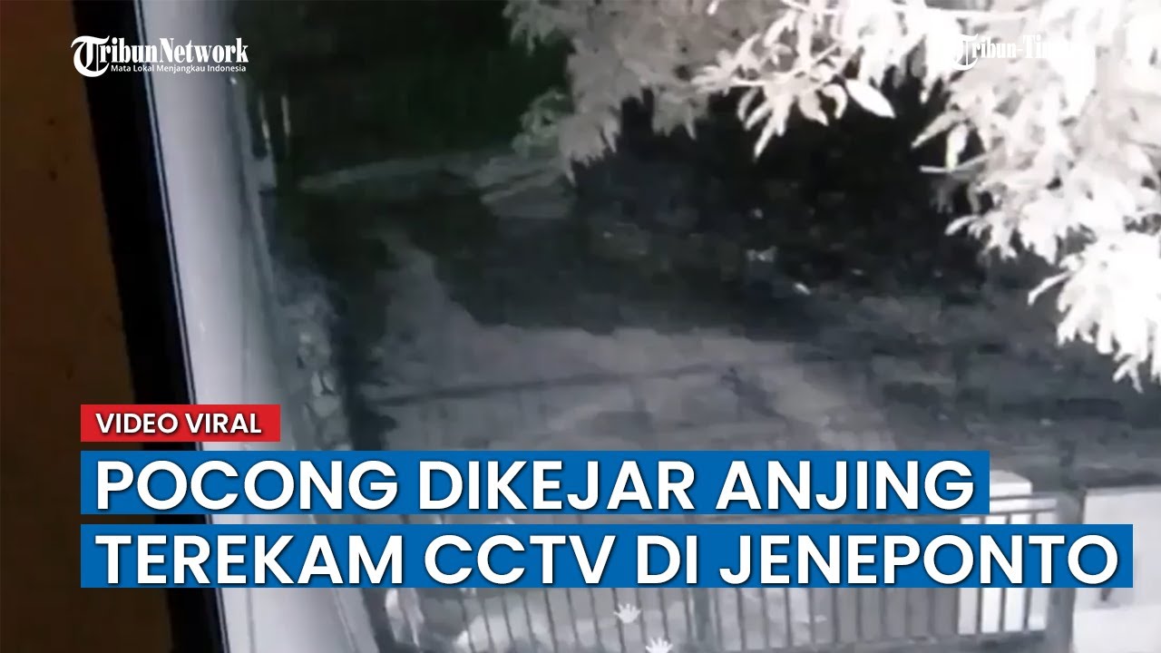Viral di Sosmed, Pocong Terekam Kamera CCTV di Jeneponto Dikejar Anjing