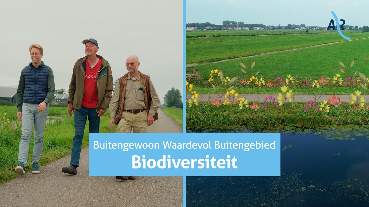 Verbetering landelijk gebied