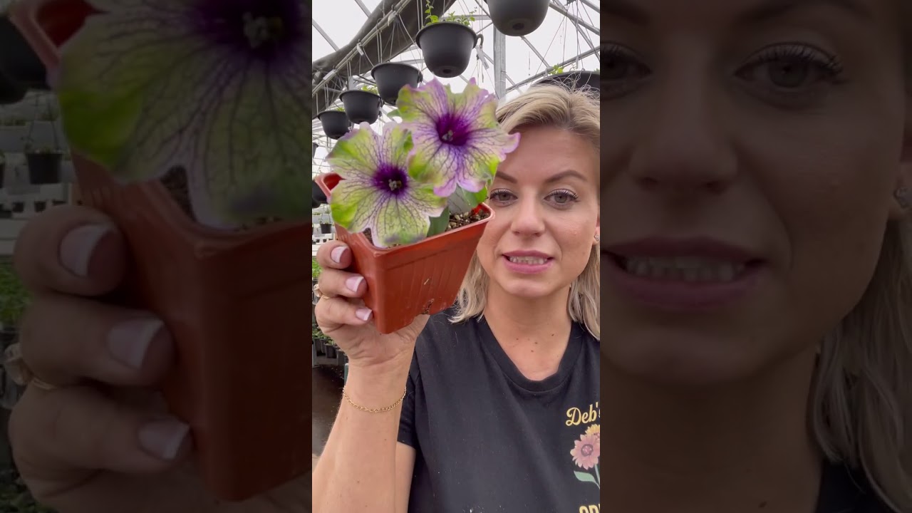 Today&rsquo;s Top 5 Plants 🌱 April 2, 2023