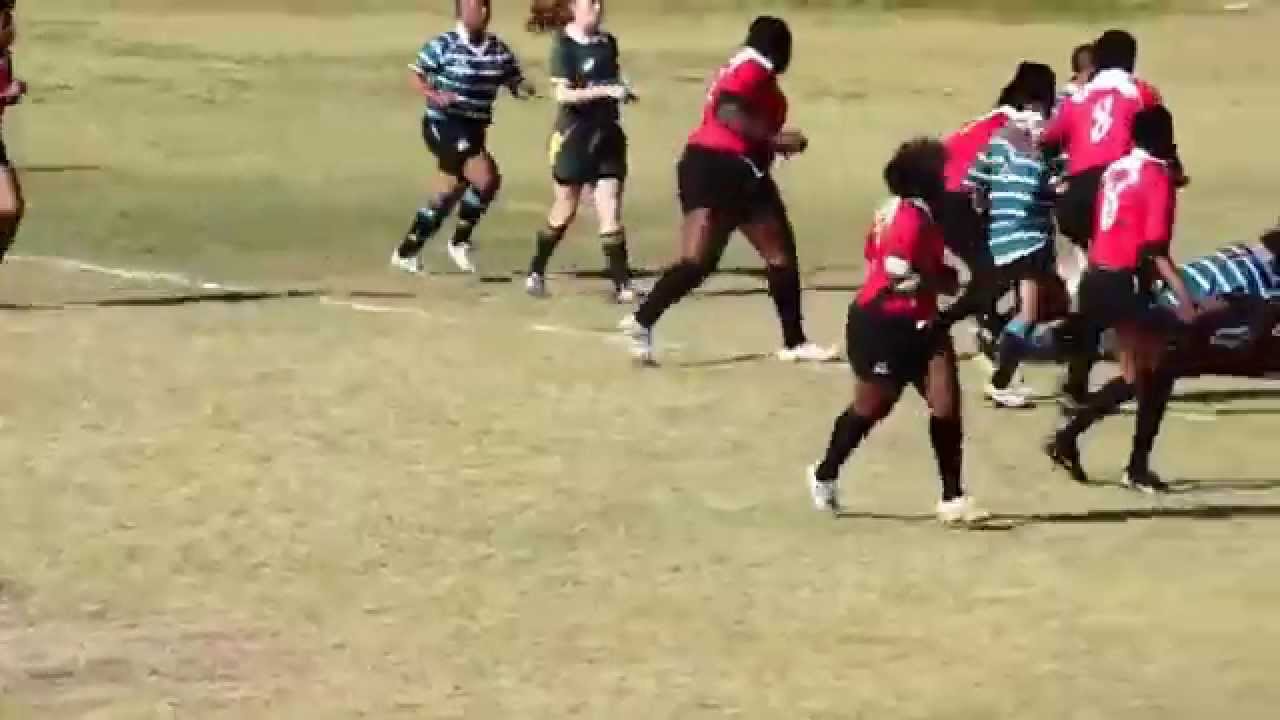 try pumas
