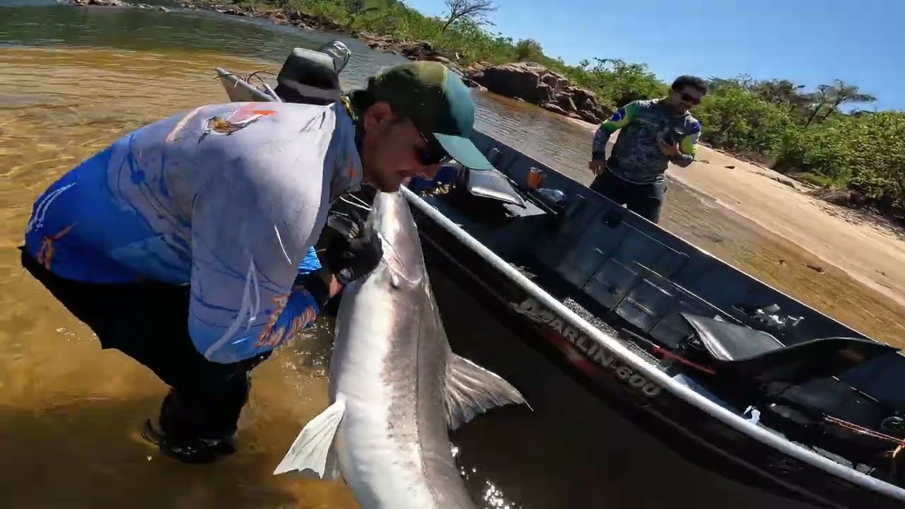 Pesca de piraíba monstro