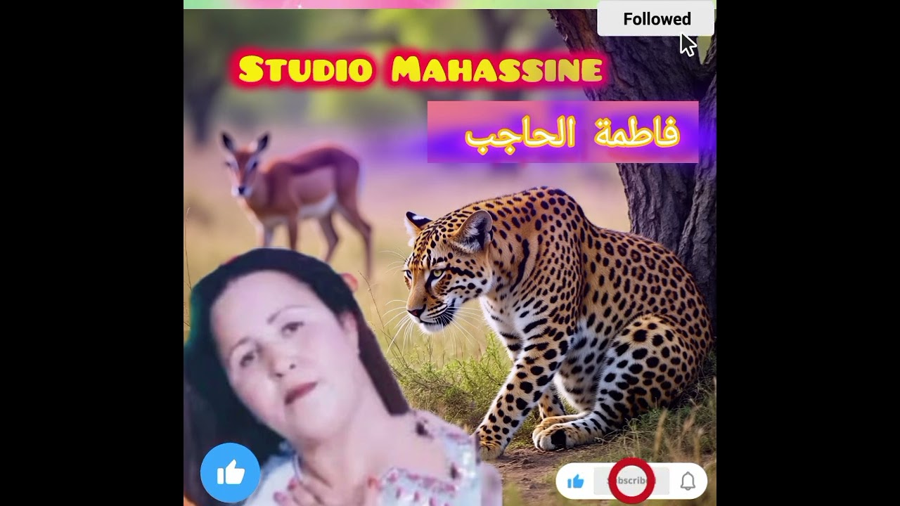 Fatima el hajb