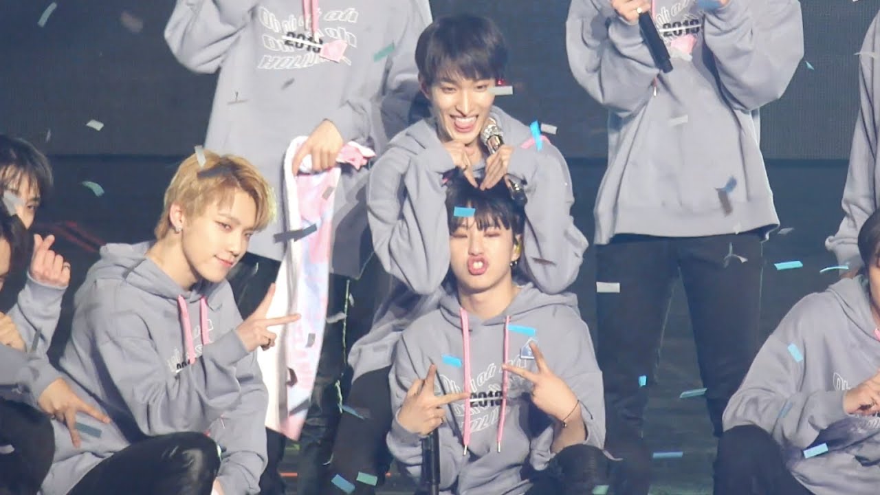 190308-190310 캐럿랜드 홀리데이 댄브(?) 모음