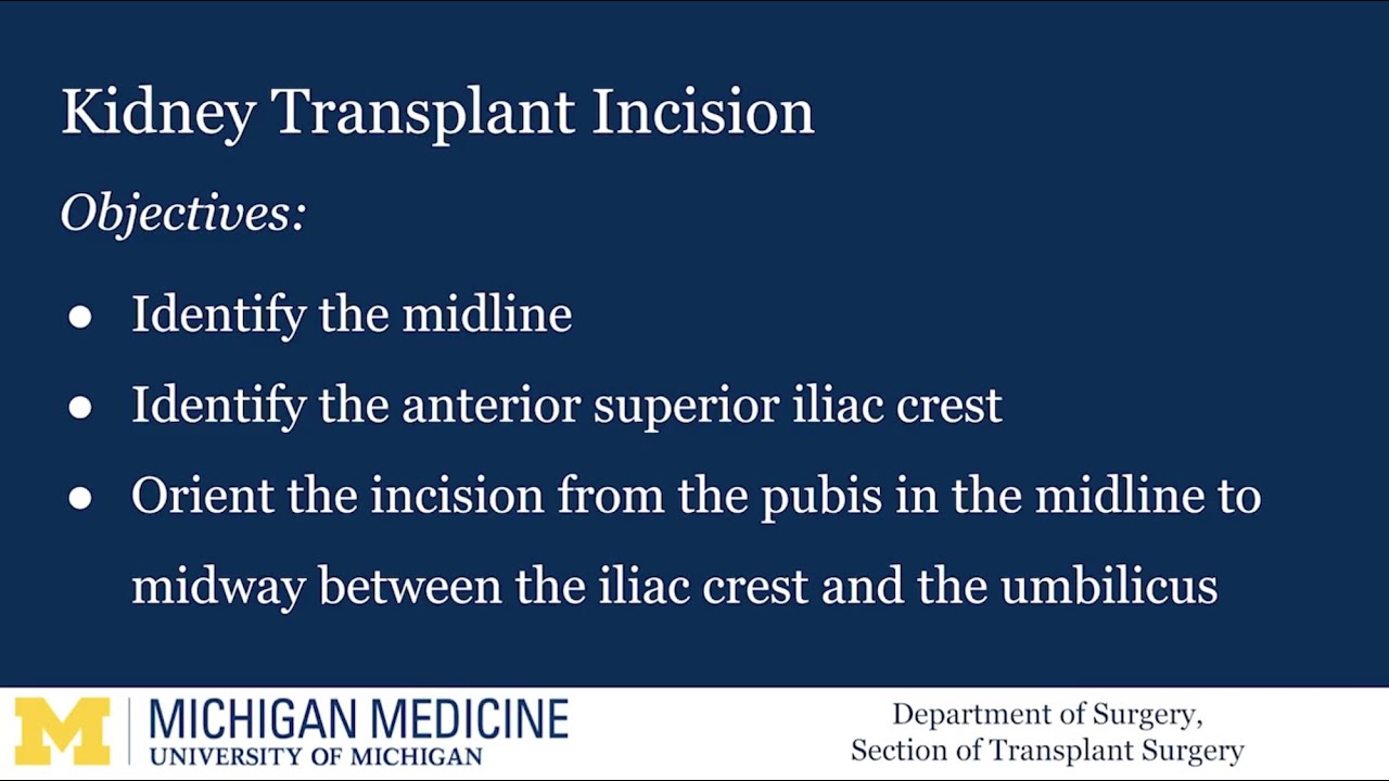 Kidney Transplant Incision
