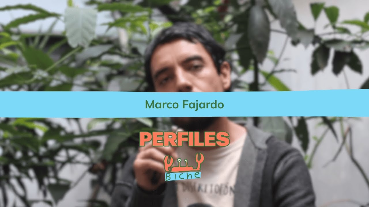 PERFILES BICHE - Marco Fajardo | No.1