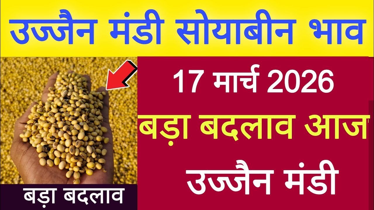soyabin bhav Ujjain mandi l 17 march 2026 l ujjain mandi bhav Today l live bhav
