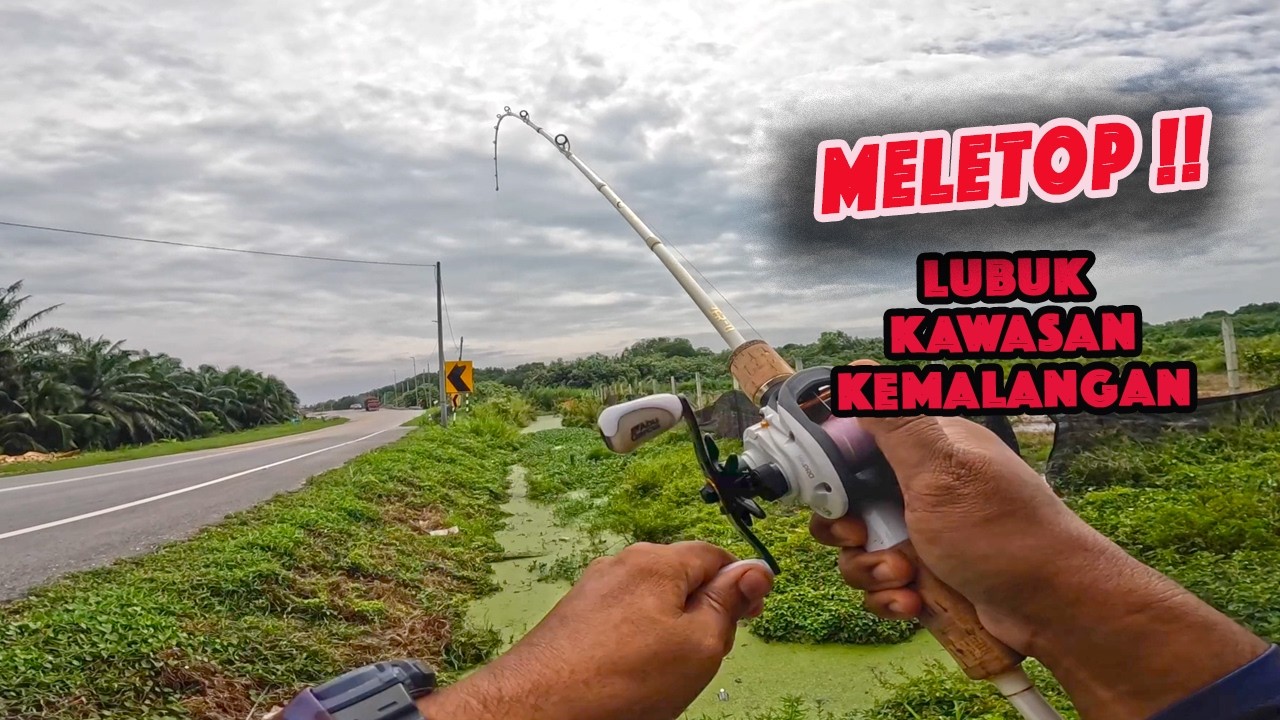 Casting Haruan | Parit Kapet Hijau Gerenti Ada Ikan
