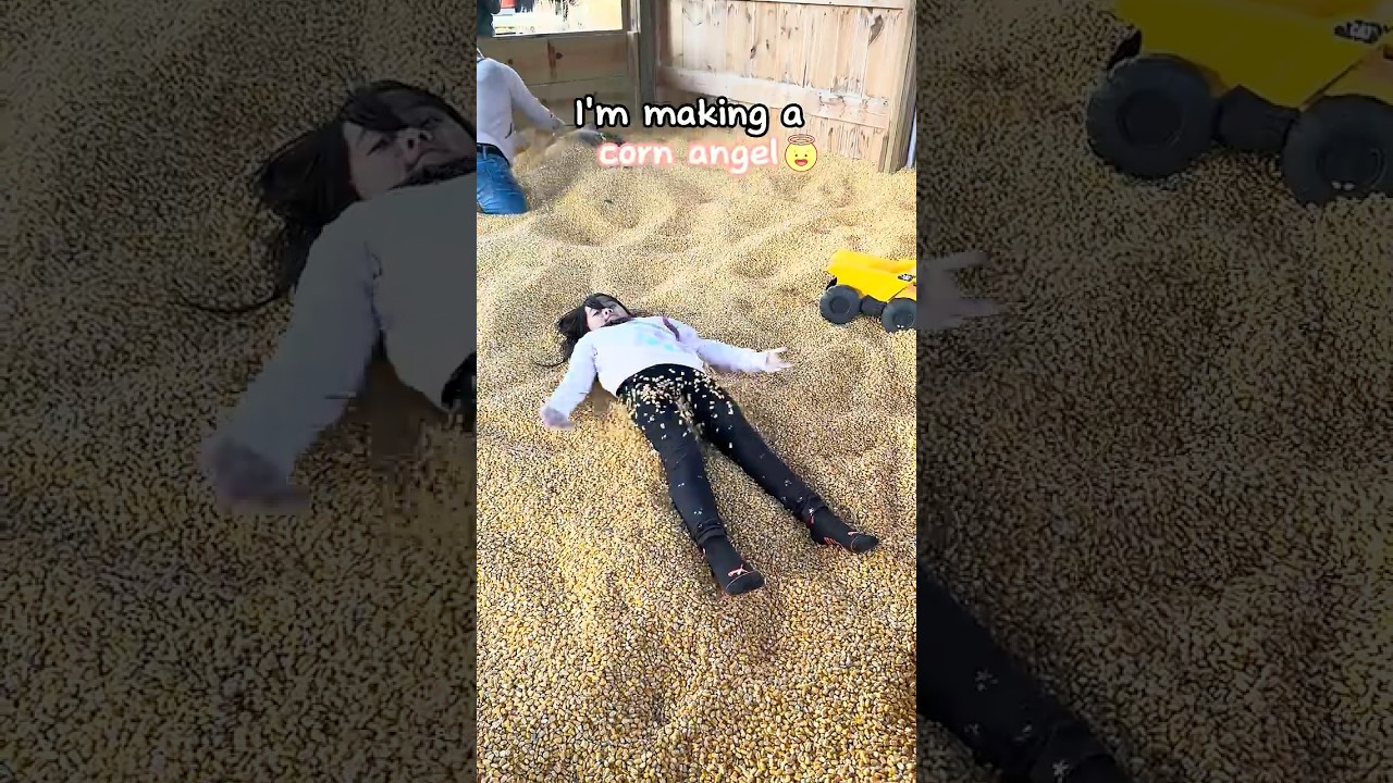 🎃 Pumpkin Farm Fun Adventure 🌽 #pumpkinpatch  #cornmaze  #fallactivities #halloween