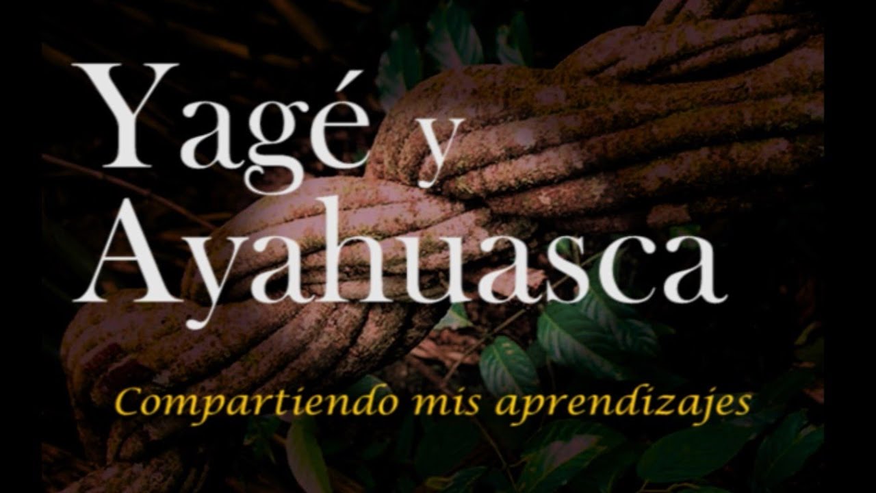 Yag&eacute; y Ayahuasca  - Mis aprendizajes con las medicinas ancestrales - V Faemanna