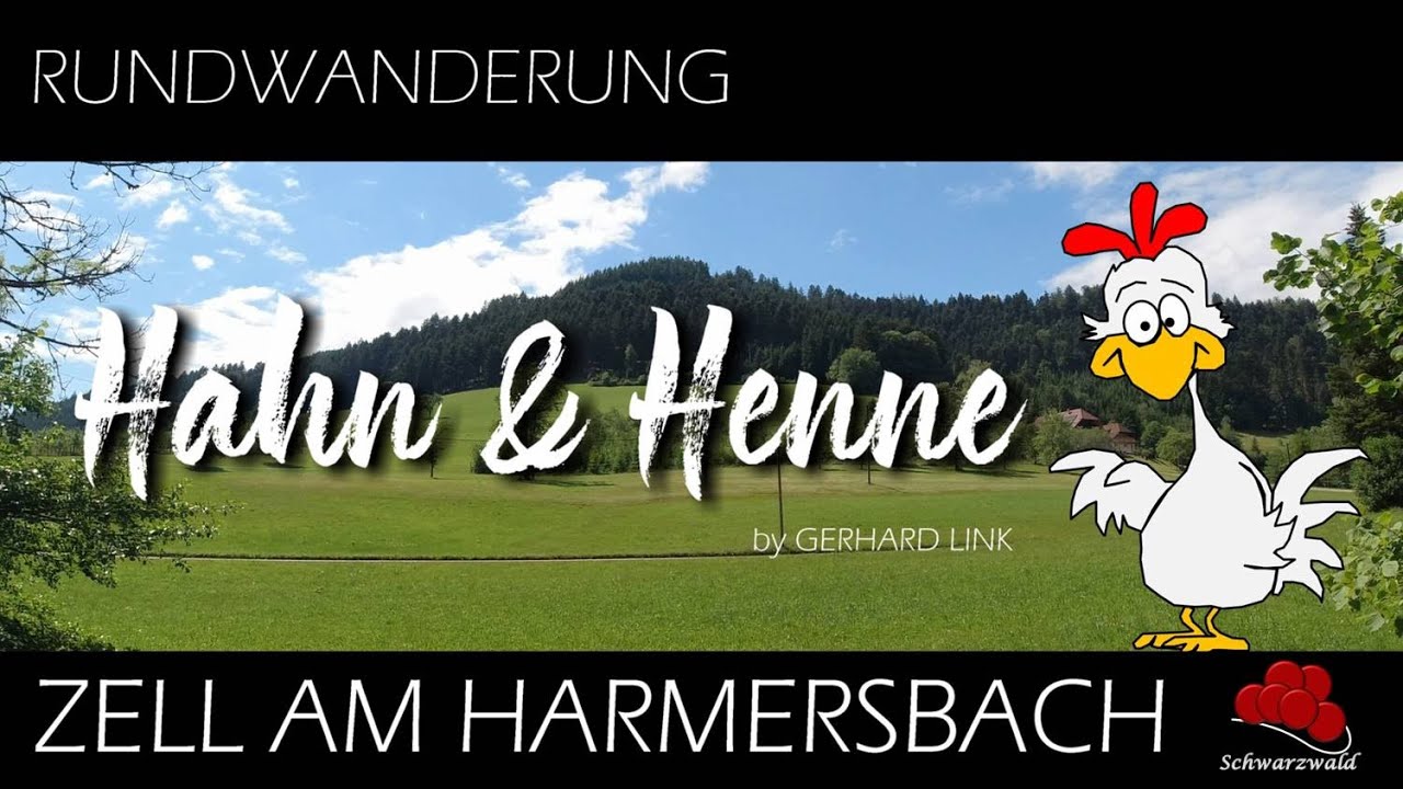 HAHN UND HENNE RUNDWANDERUNG  / DER SCHWARZWALD  🇩🇪 🥾 🌲 🌳🌻