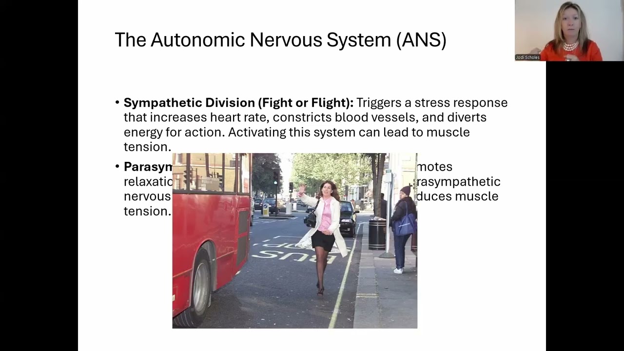 MBLEx Review of the Anatomy of the Nervous System