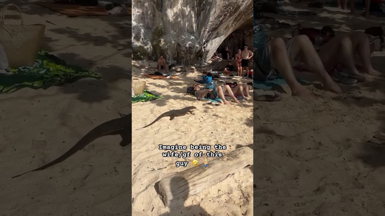 Thailand Giant Monitor Lizards 🦎 - Harmless but look wild