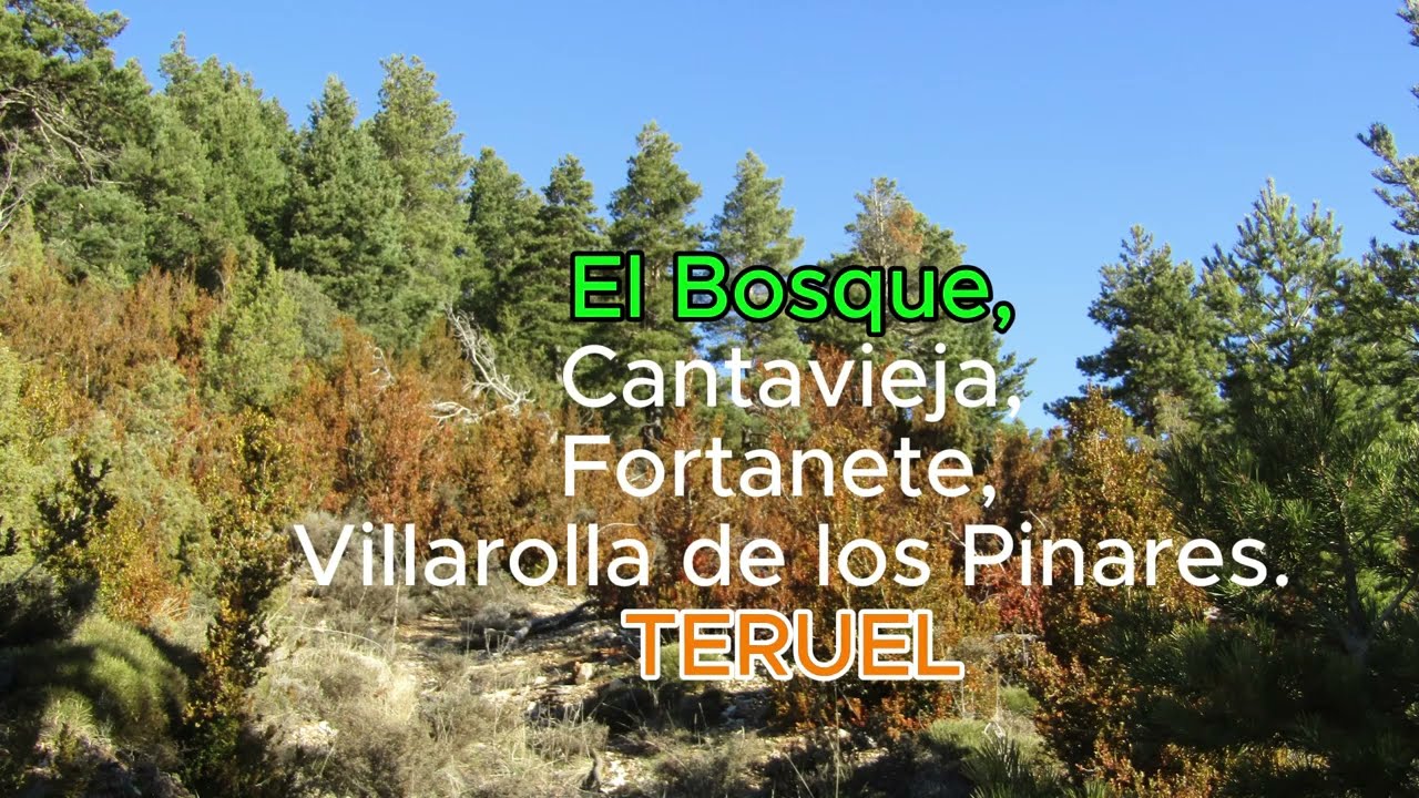 el Bosque, La estepa, el Sabinar, Teruel.