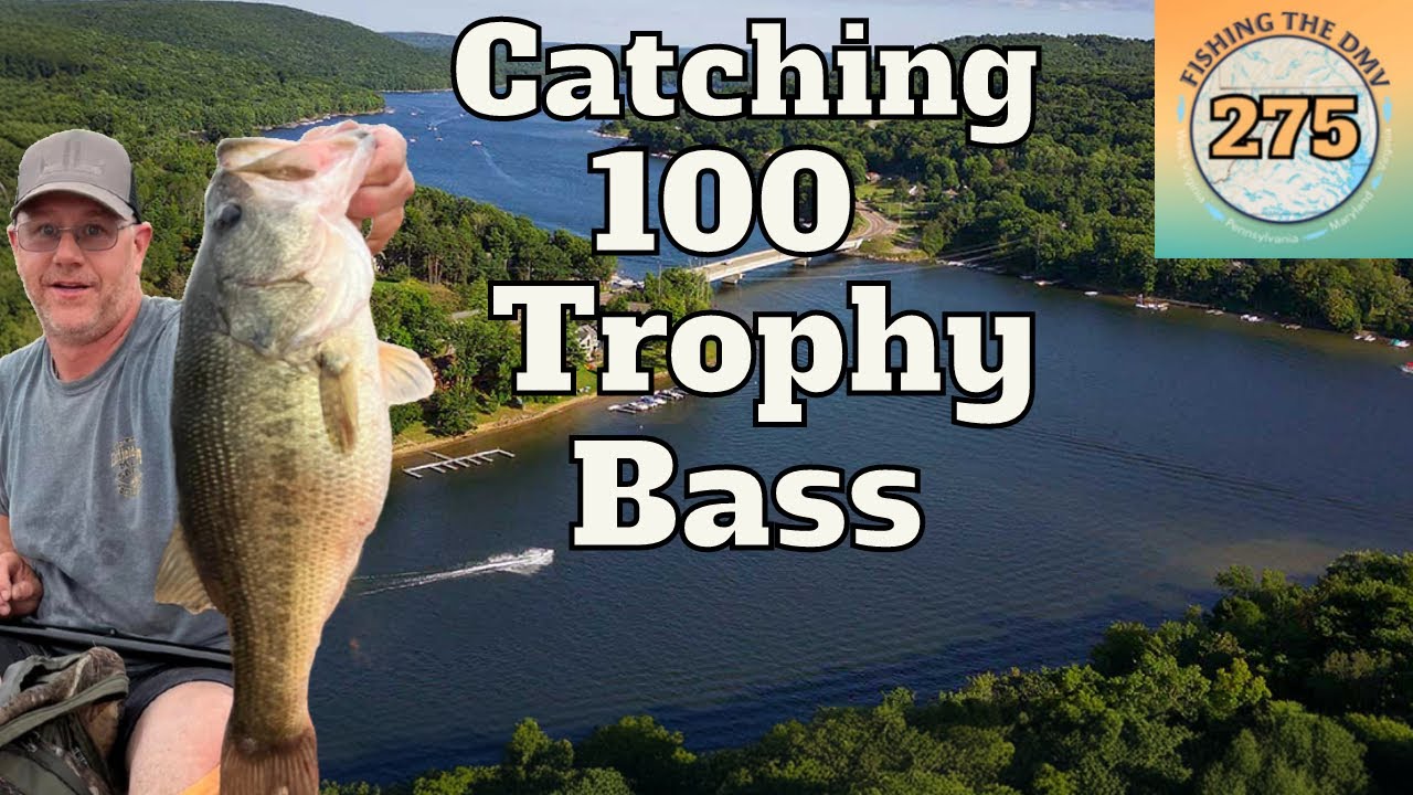 Deep Creek Lake Maryland Bass Fishing & Secrets to Landing 100 Trophy Bass!!!