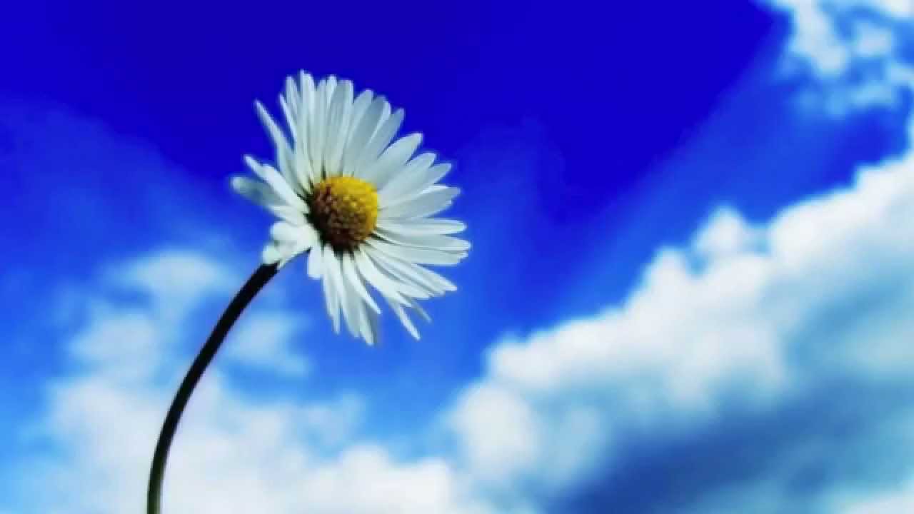 Touches of fatigue