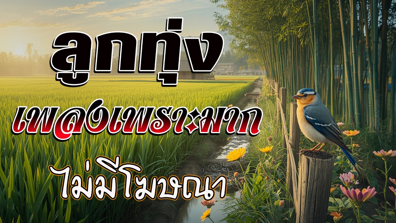 ลูกทุ่งเพลงเพราะมาก : รวมเพลง ลูกทุ่งฮิตที่สุด ฟังต่อเนื่อง ไม่มีโฆษณา