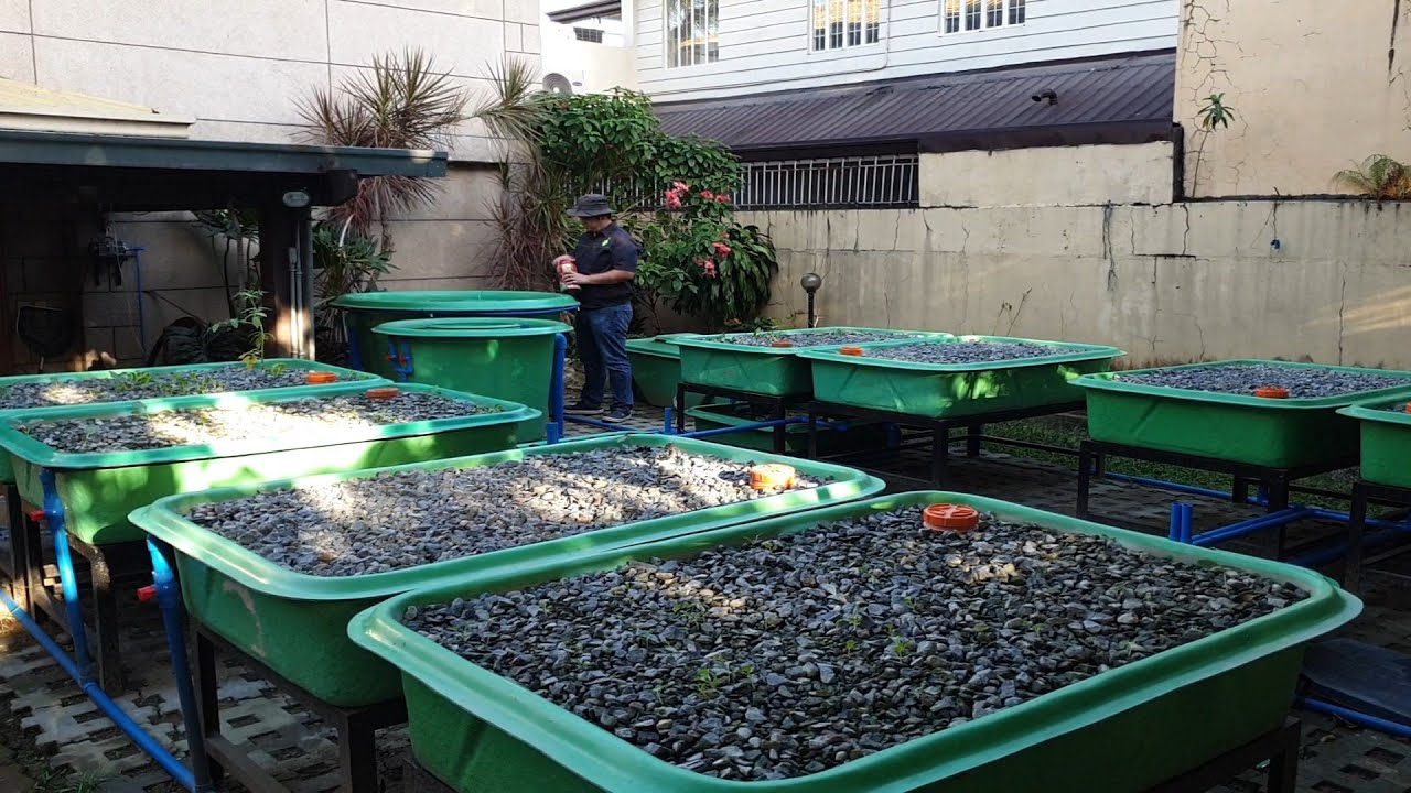 Decoupled Aquaponics System by MADE
