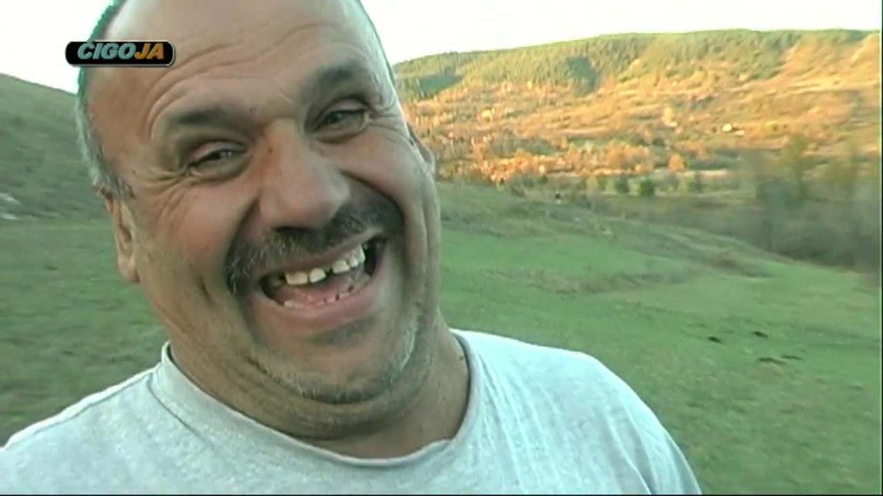 ZMAJ OD SIPOVA I DRAGAN JOVISIC TRNOVO 2017 STOCARSTVO