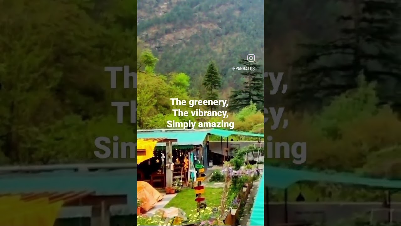 The amazing and vibrant views from Gone Fishing Cottages at Banjar, Jibhi #shorts