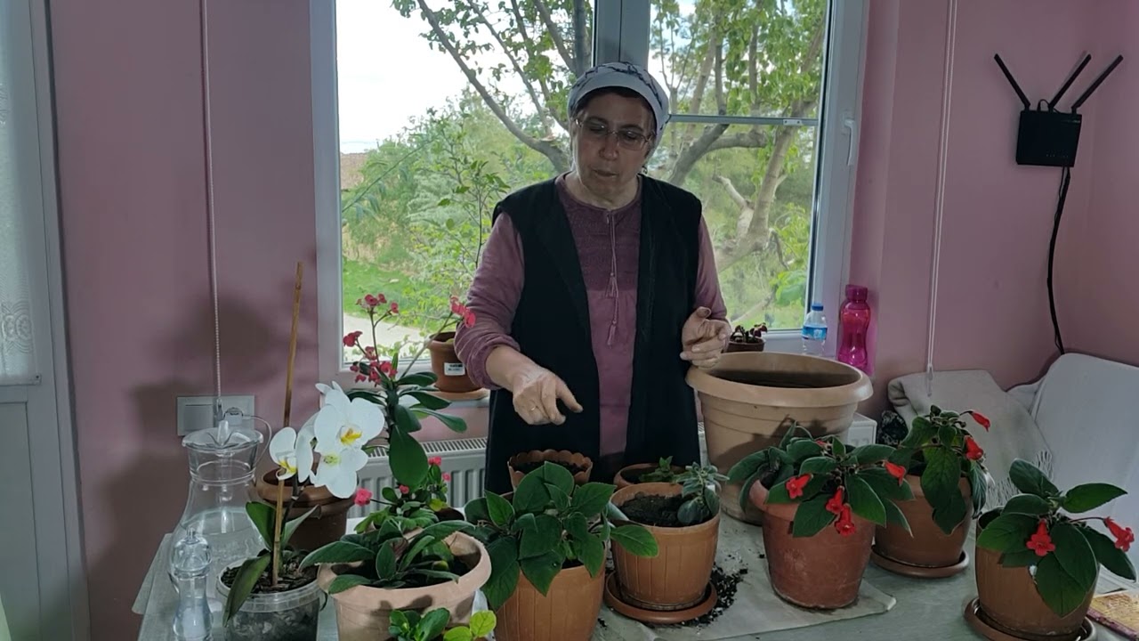 Kohlera dikiyoruz.