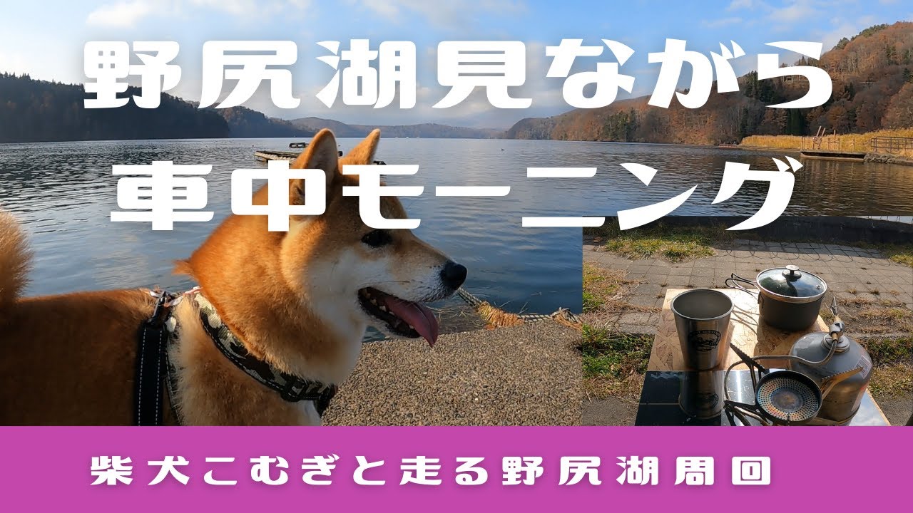 柴犬こむぎとエブリイワゴン車中モーニング in野尻湖