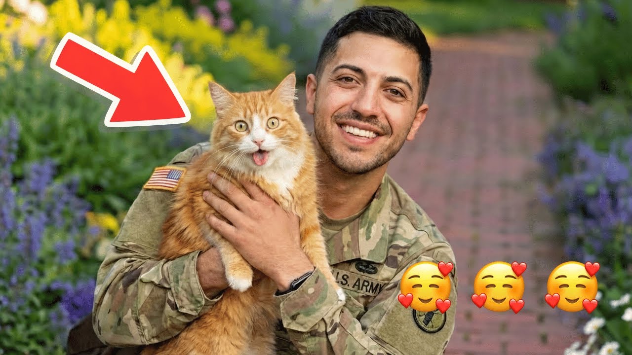 🥰🥰🥰 После стольких лет разлуки папа-солдат возвращается — любовь его кота говорит сама за себя.
