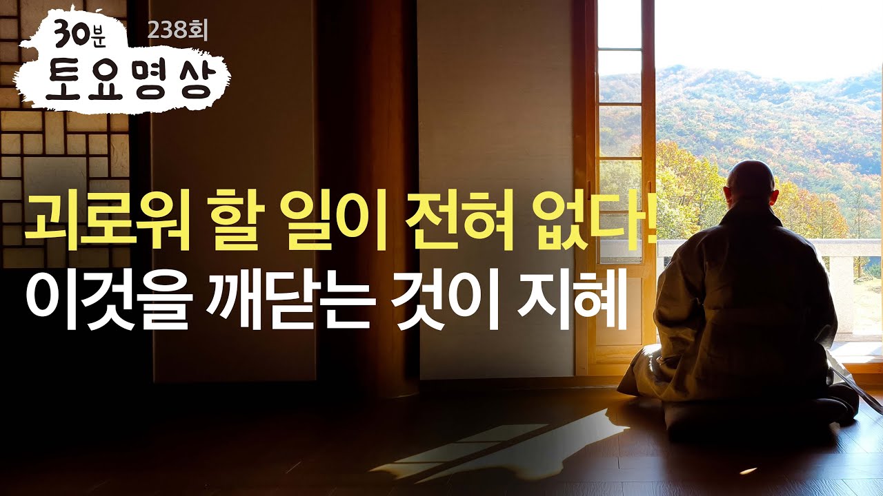 세상에 심각할 일이 전혀 없다! 이것을 깨닫는 것이 지혜ㅣ 토요명상 238회ㅣ혜안스님