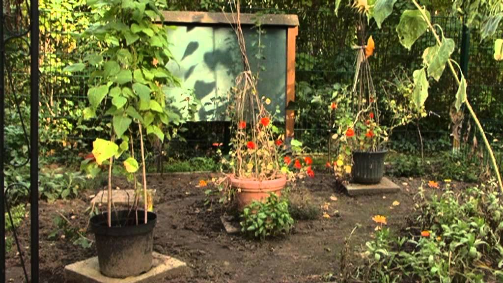 Kneipp-Kita „Waldhäuschen