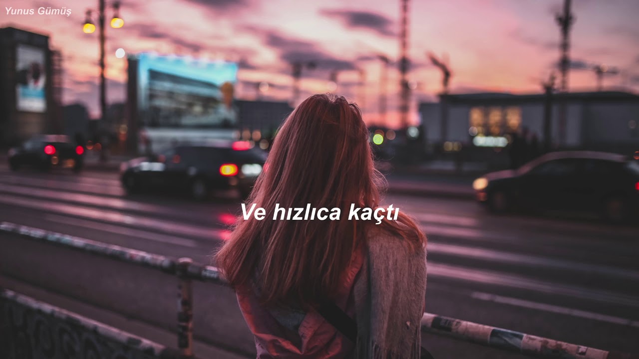 Alan Walker, K-391 & Emelie Hollow - Lily (Türkçe Çeviri)