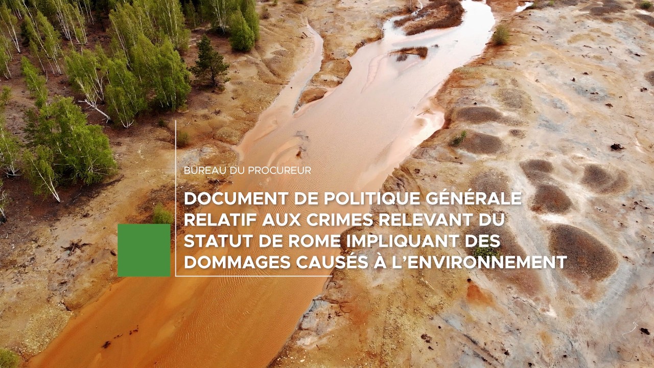 Politique aux crimes relevant du Statut de Rome impliquant des dommages caus&eacute;s &agrave; l&rsquo;environnement
